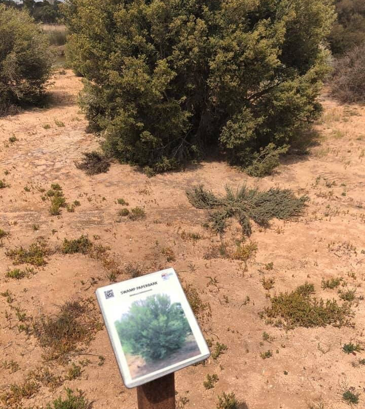 Rocky Gully Wetlands-Murray Bridge必去景点