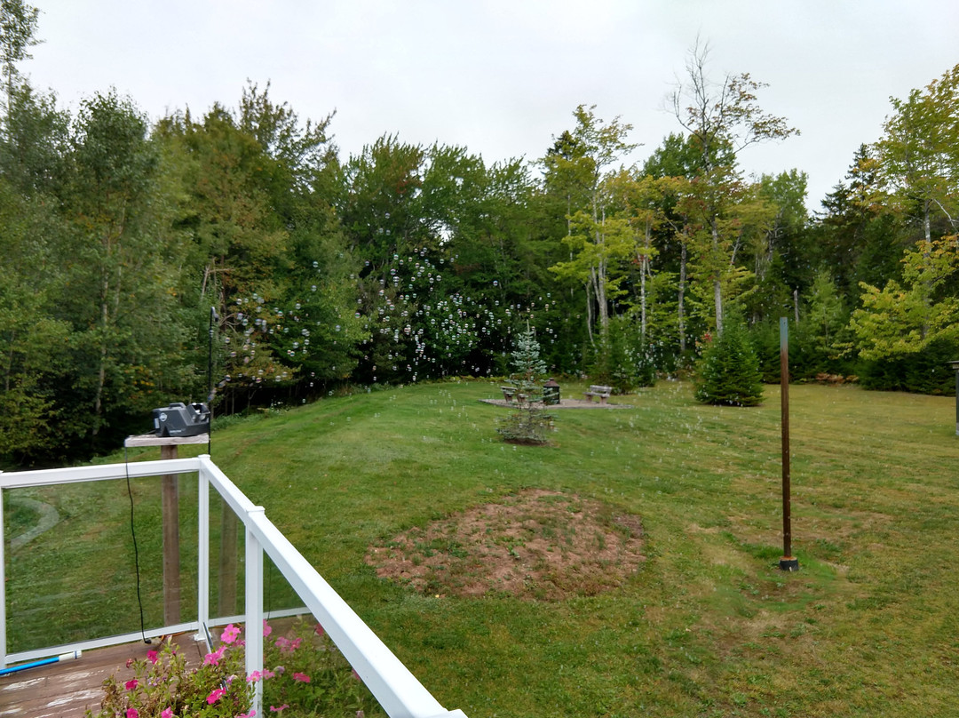 Snowflake Manor Bed & Breakfast主图