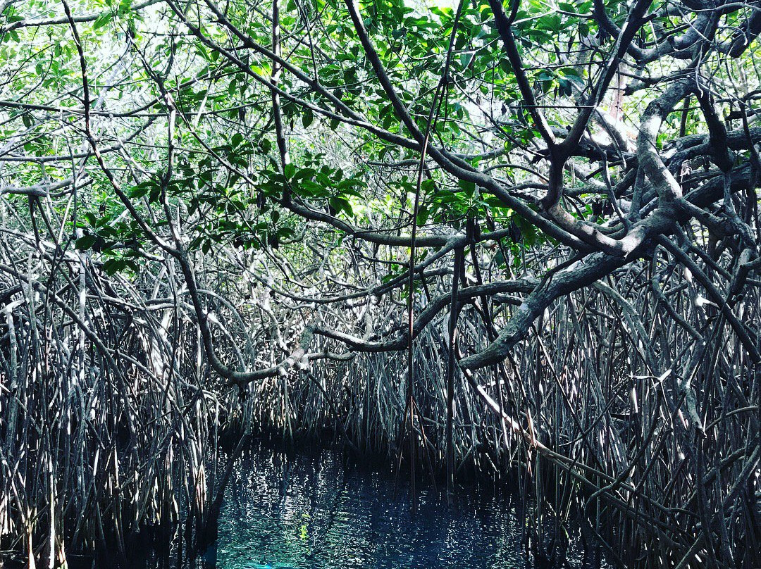 Experiencias Xcaret-切图马尔必去景点