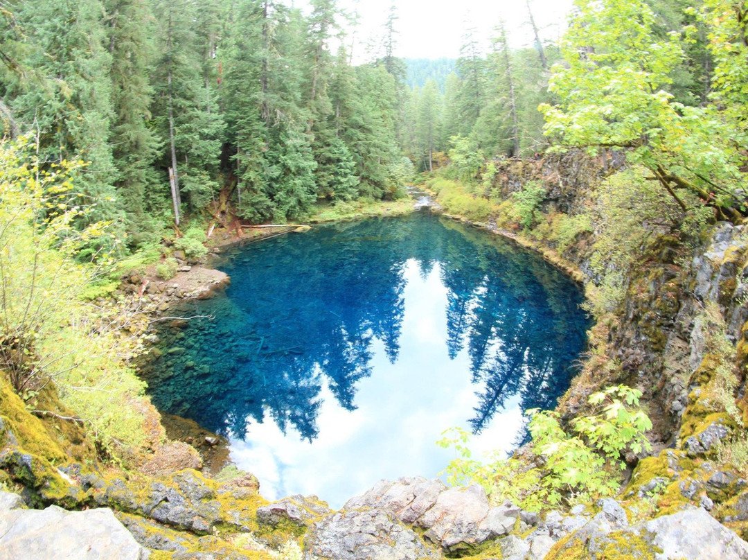 Tamolitch Pool Trail