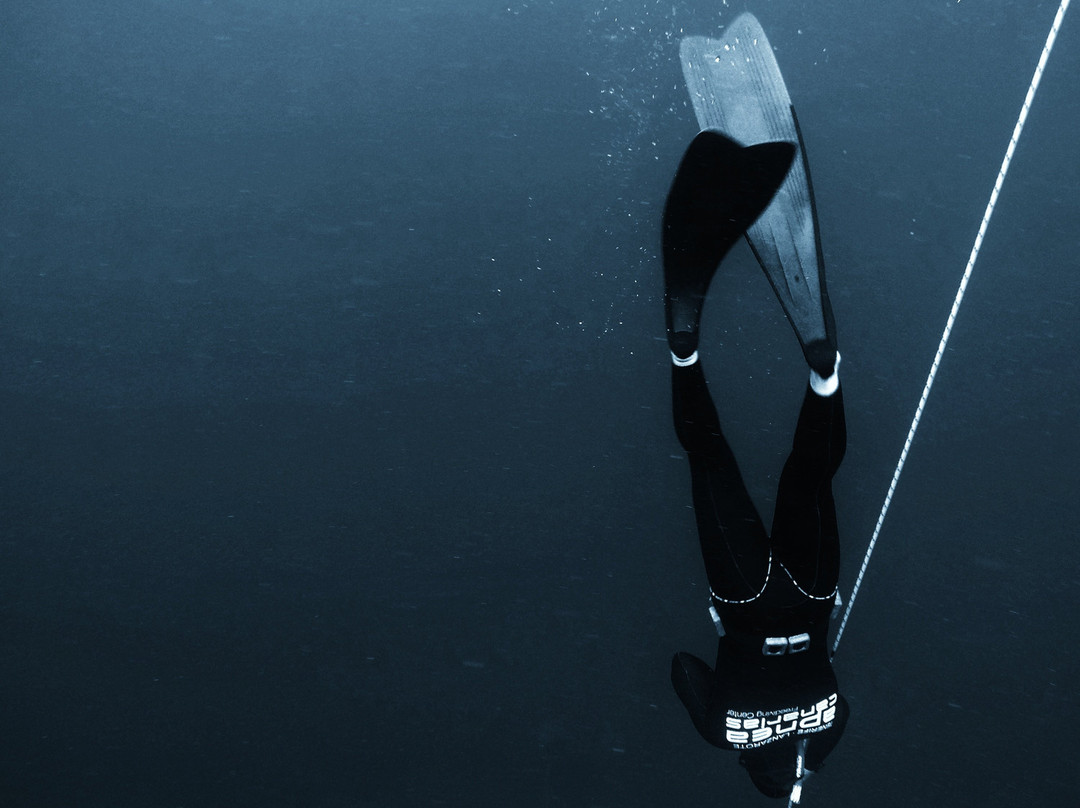 Apnea Canarias-卡门港必去景点