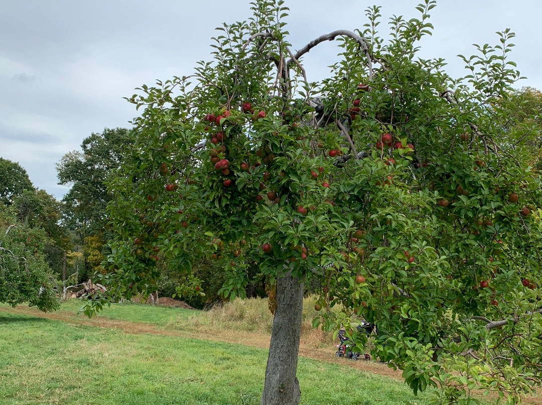 Outhouse Orchards景点图片