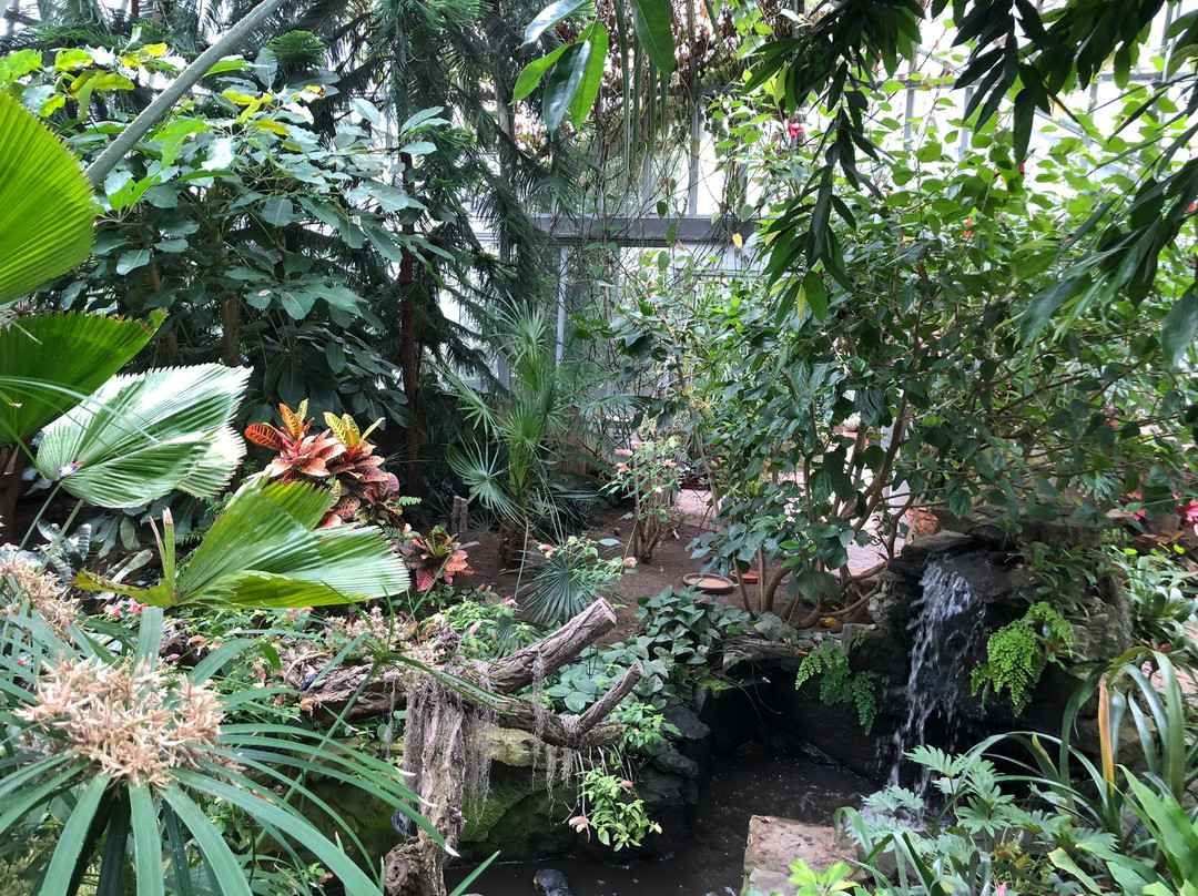 Highland Park and Lamberton Conservatory景点图片