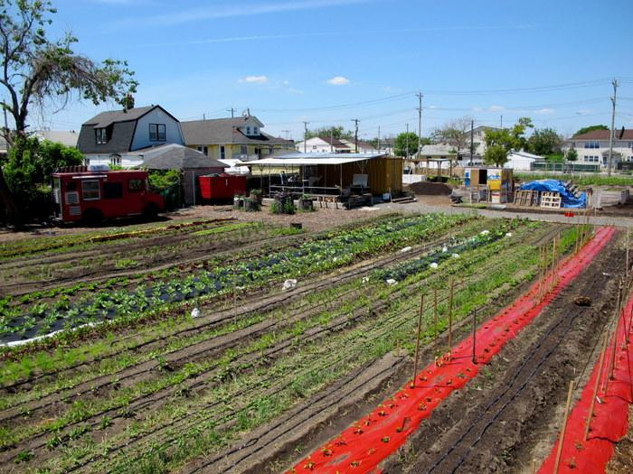 Far Rockaway旅游景点-Edgemere Farm