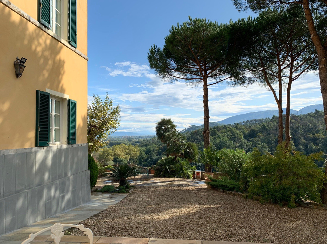 Hotel Villa Casanova主图