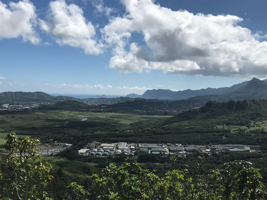 卡内奥赫旅游景点-友谊花园