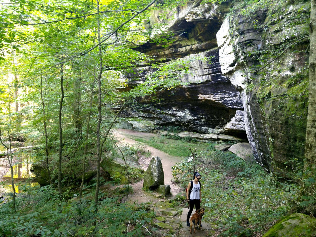 Rim Rock Recreational Area景点图片