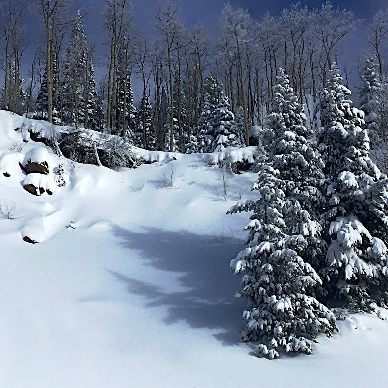 Steamboat Snowmobile Tours-斯廷博特斯普林斯必去景点