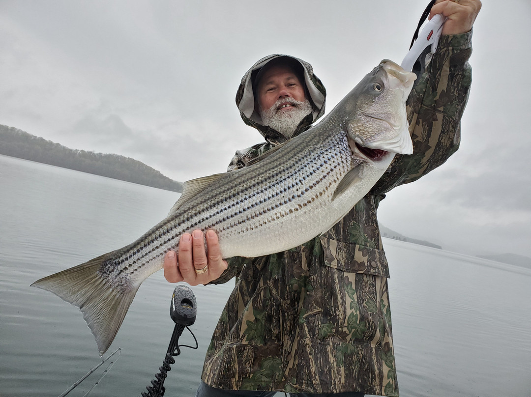 Busch Mountain Fishing Guide Service景点图片