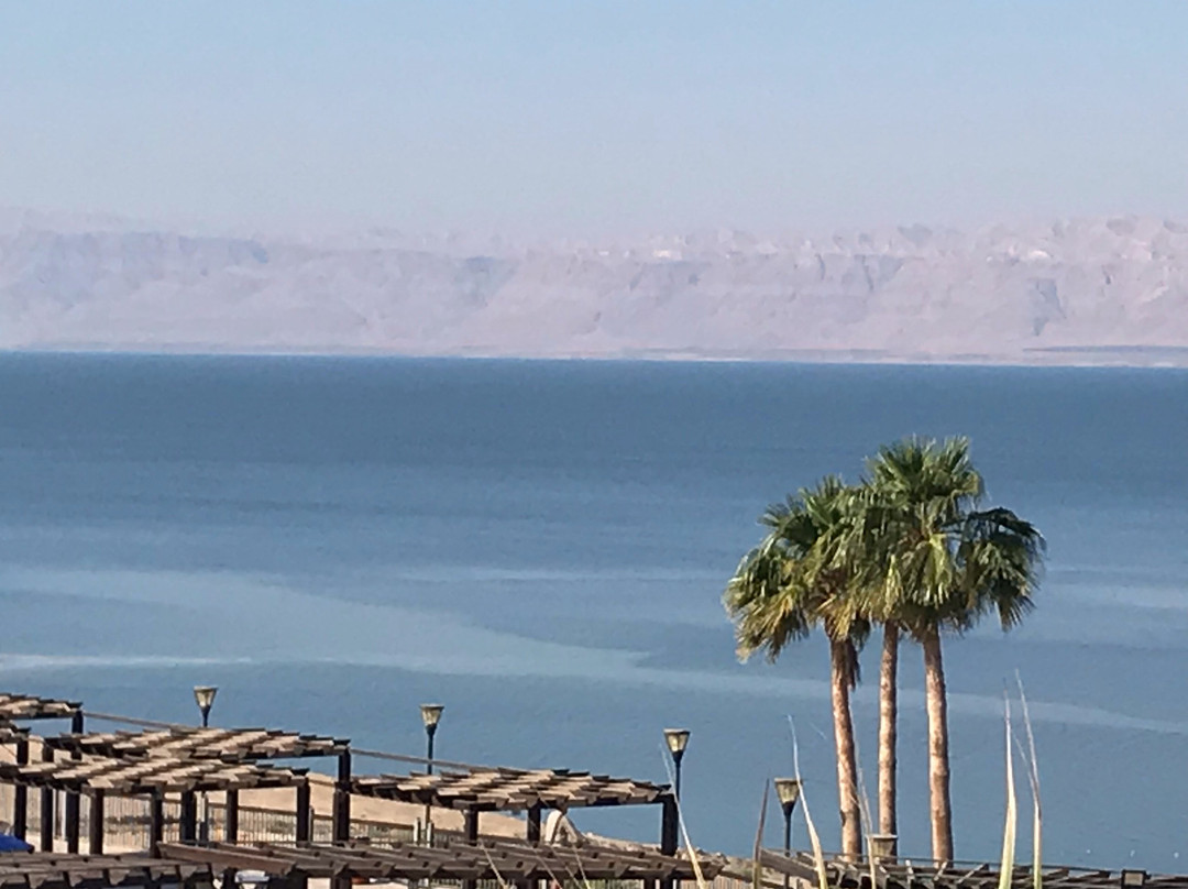 死海Spa酒店主图