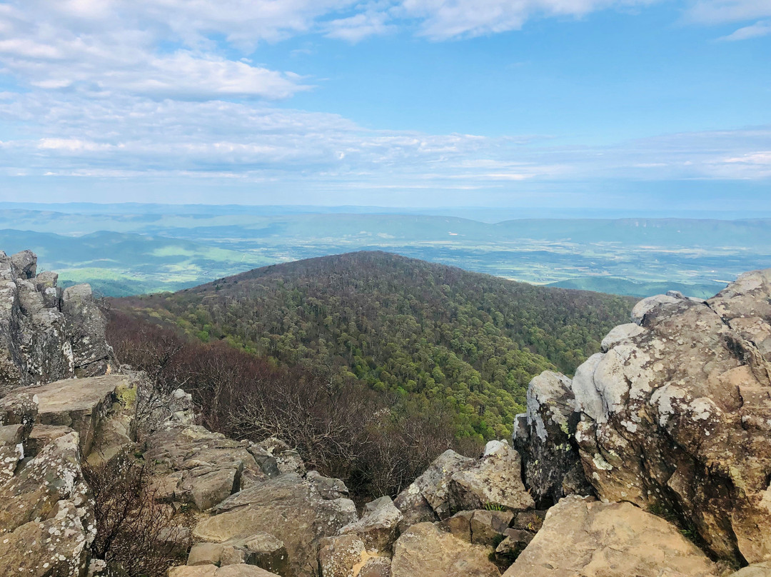 Hawksbill Mountain景点图片