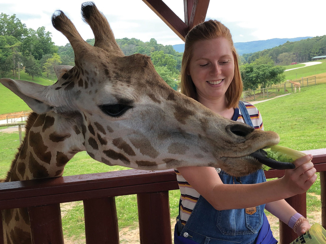 弗吉尼亚游猎公园-天然桥必去景点