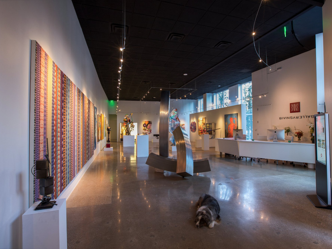 Bivins Gallery-达拉斯必去景点