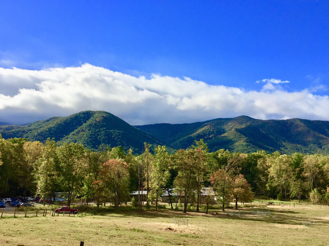 Great Smoky Mountains National Park景点图片