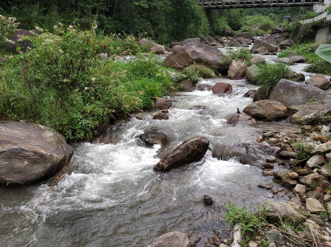 Sunakhari Homestay主图