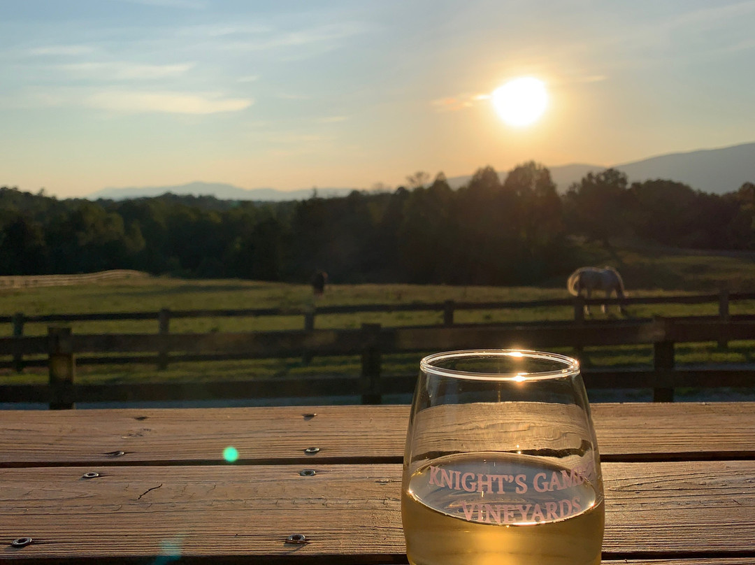 Knight's Gambit Vineyard-夏洛茨维尔必去景点