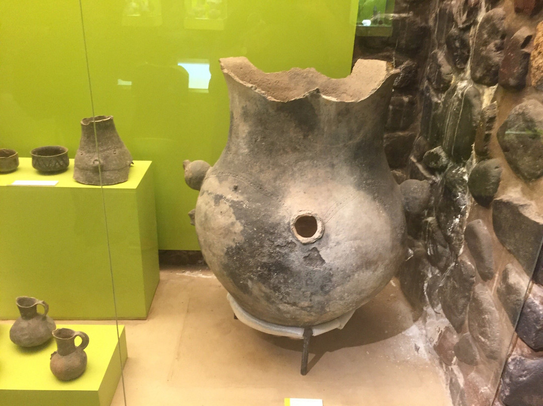 Museo Arqueologico Dr. Ernesto Padilla