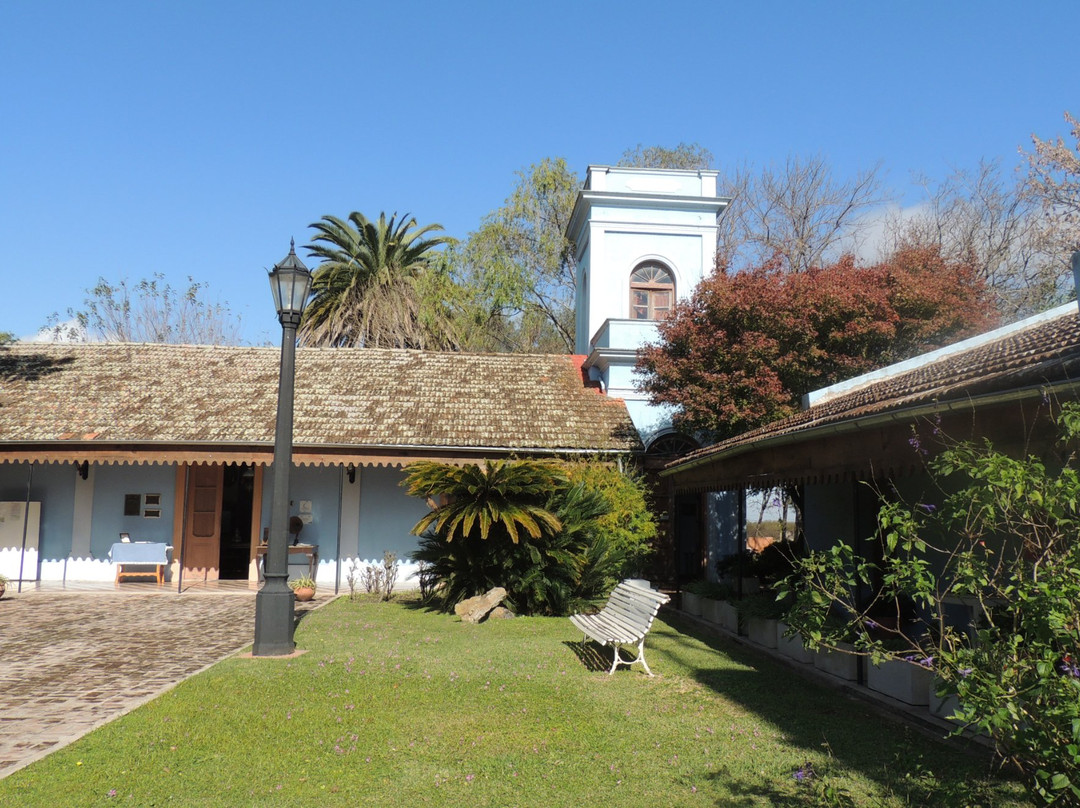 Villa Elisa旅游攻略图片