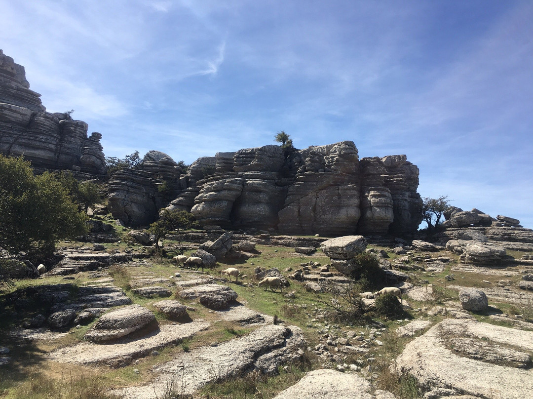 Centro de Visitantes Torcal Alto-安特克拉必去景点