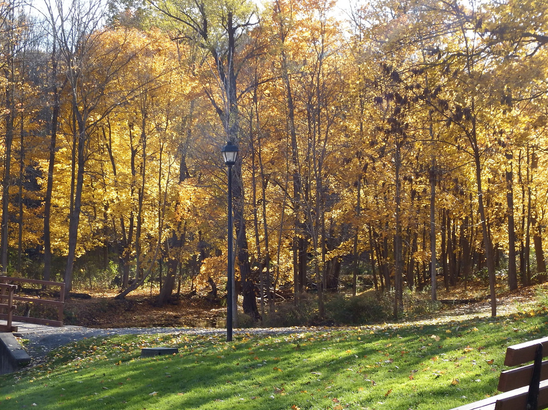 Holley Canal Falls景点图片