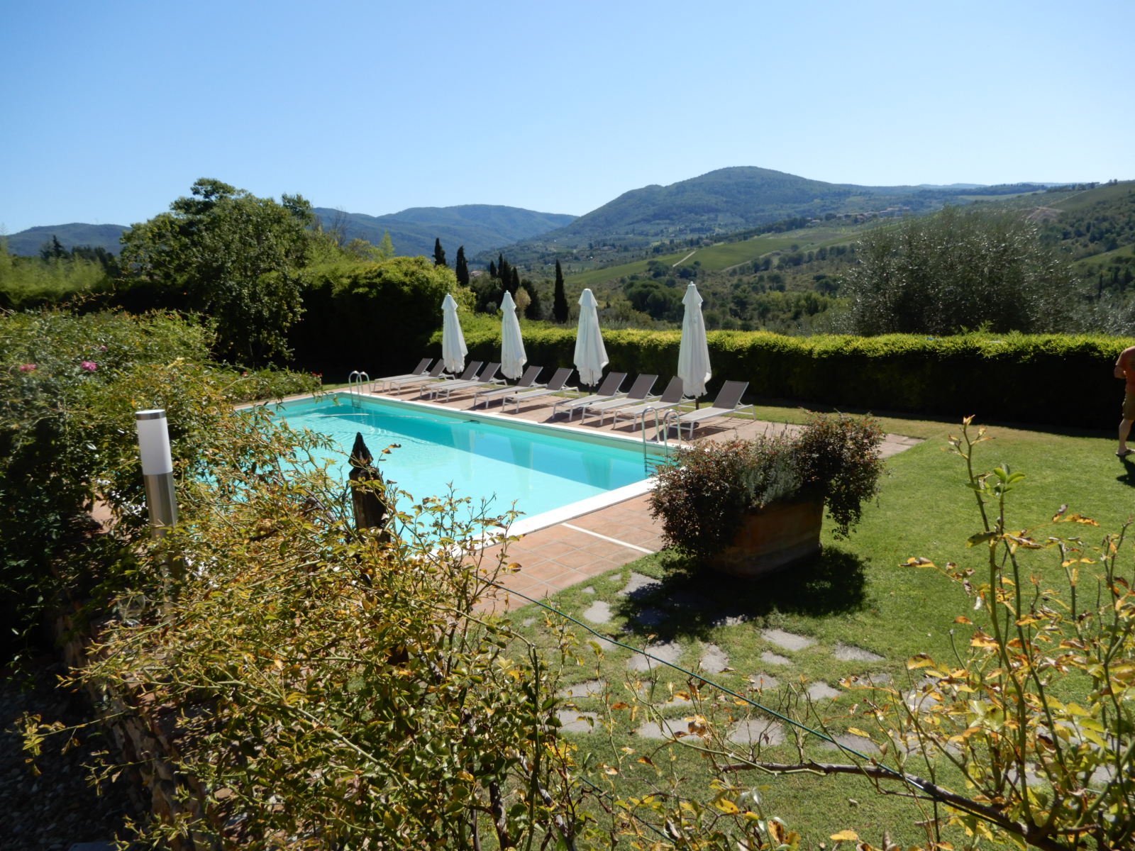 Agriturismo Villa il Leccio-泳池