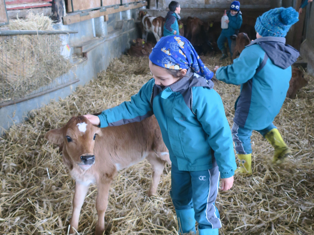 Fundo Playa Venado-巴拉斯港必去景点