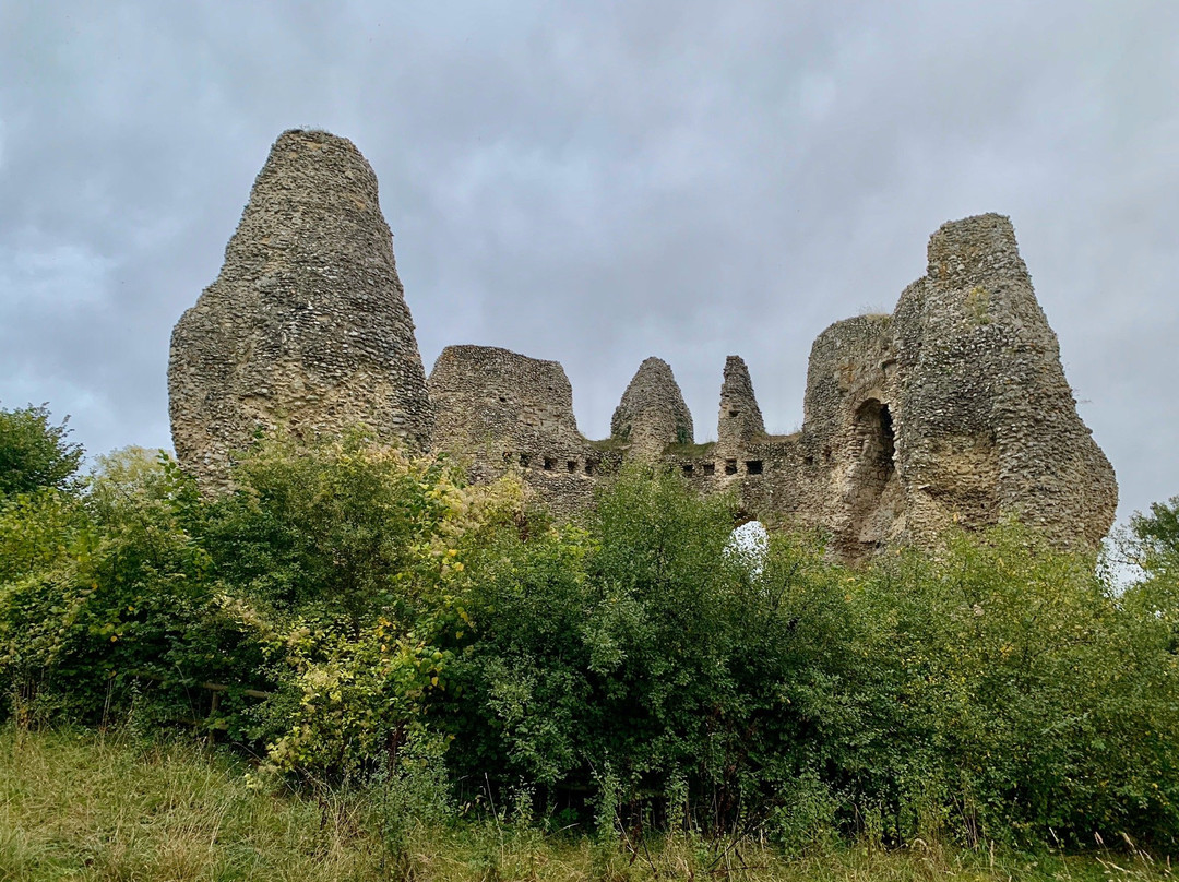 Odiham Castle景点图片