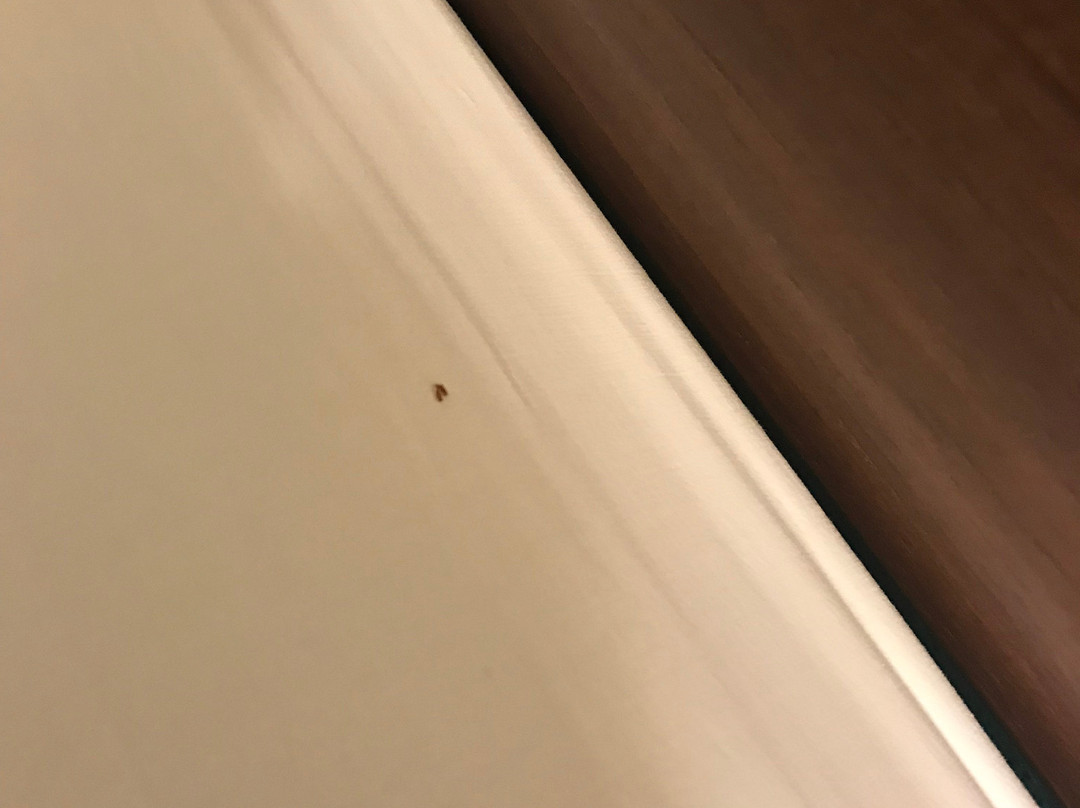 Fairfield by Marriott Inn & Suites Mansfield Ontario主图