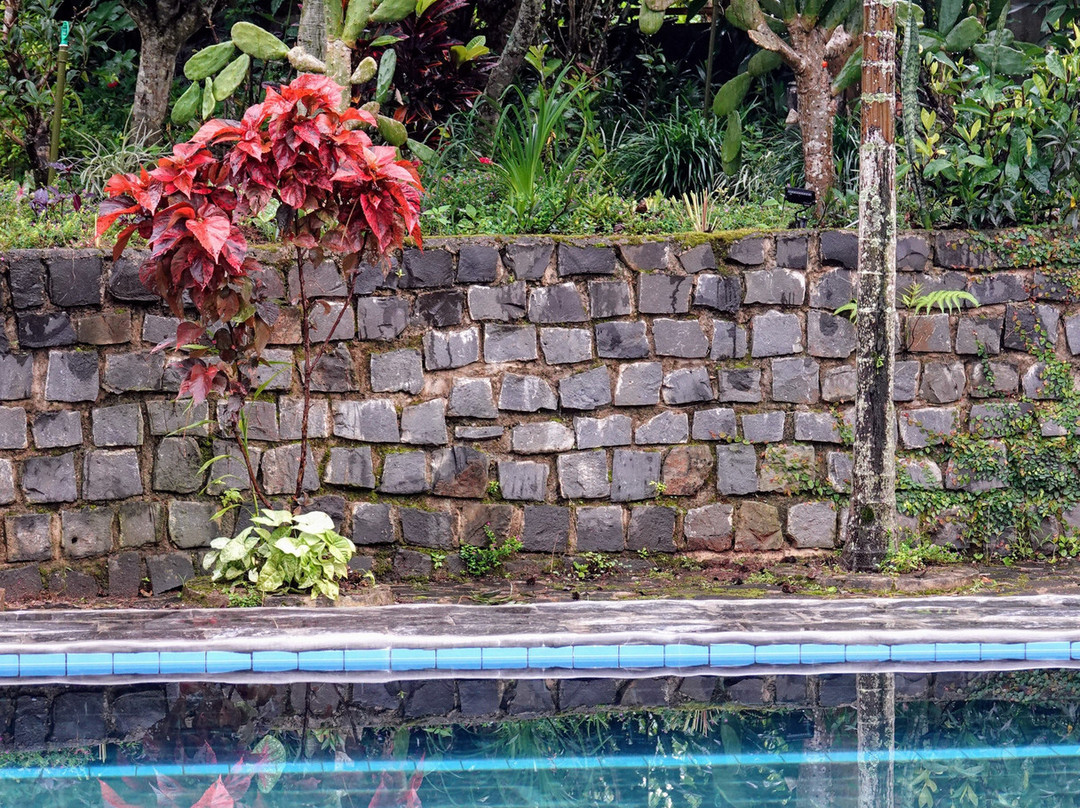 Ivory Falls Villa主图