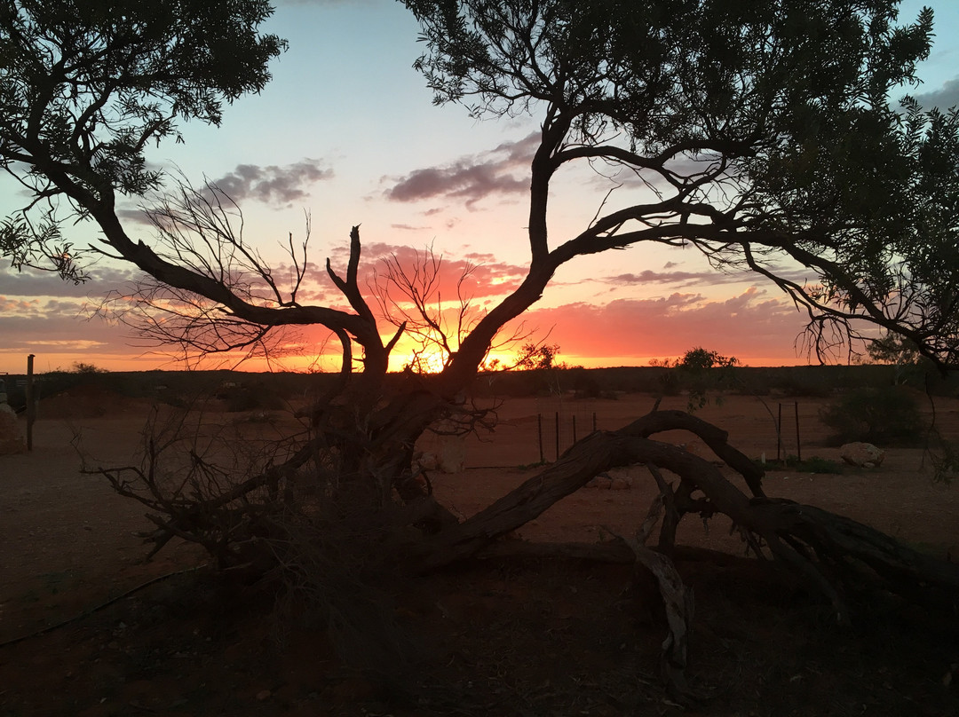 Principality of Hutt River-西澳大利亚州必去景点