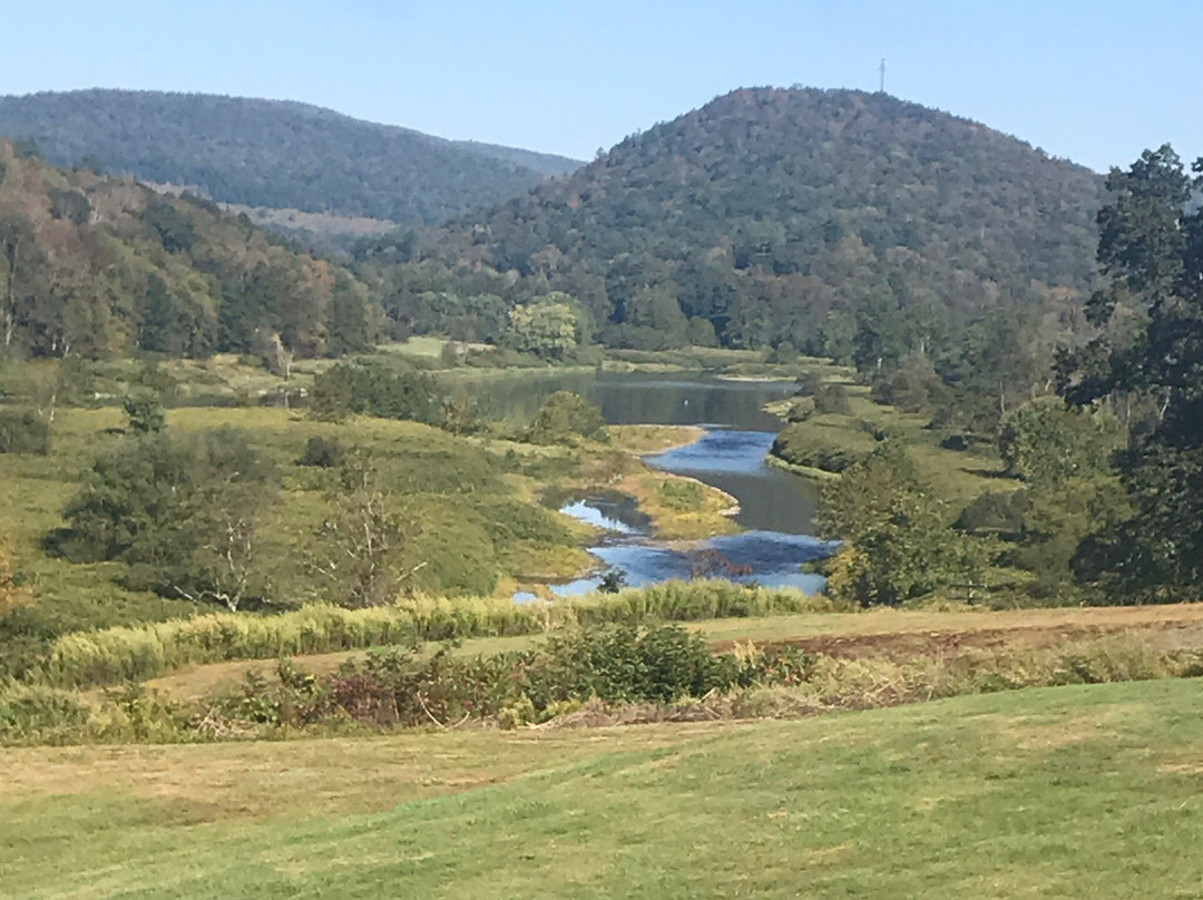 Smith's Colonial Motel主图