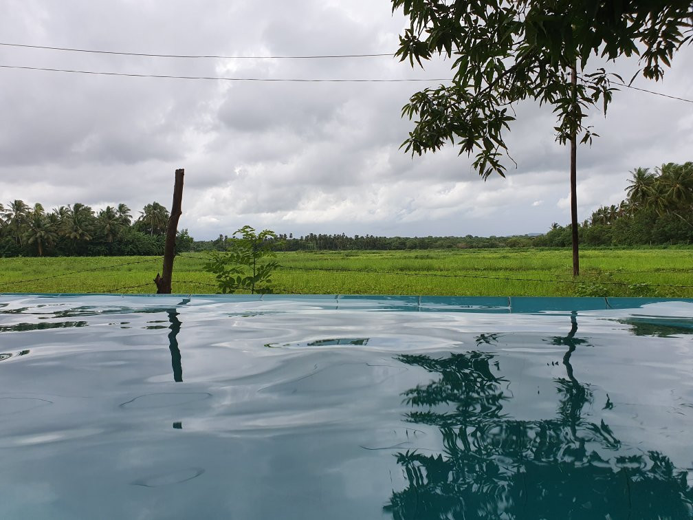 Rice Rice Villas