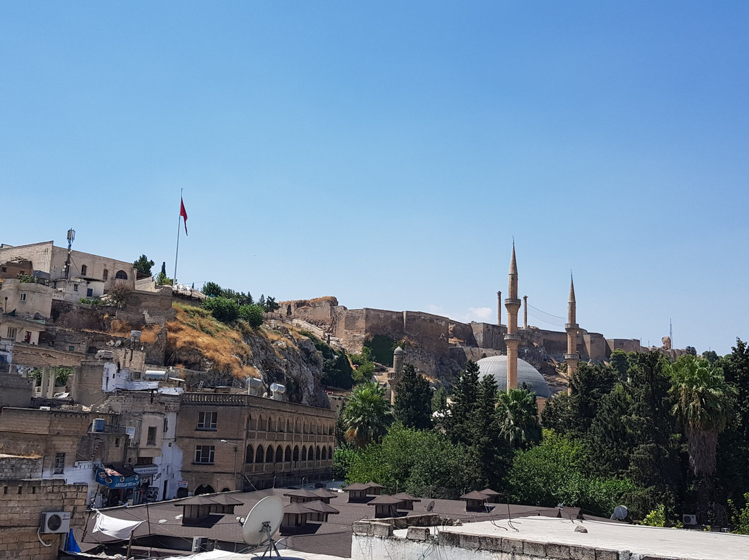 Sehrazat Konagi主图