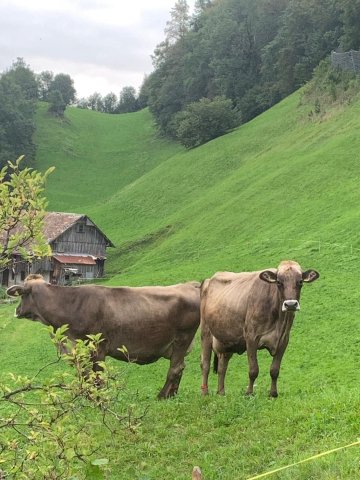 Hotel Tourist-官方