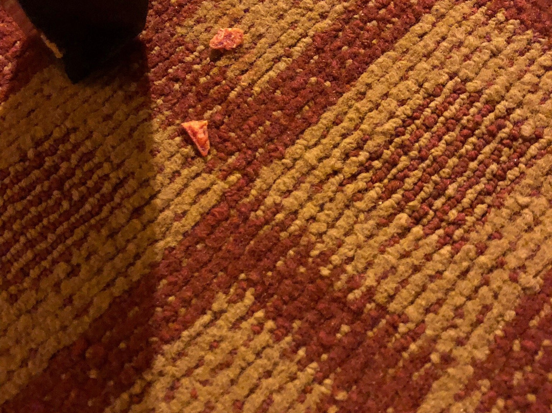 Comfort Inn & Suites Donna Near I-2主图