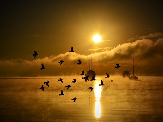 VisitChile CL-巴拉斯港必去景点