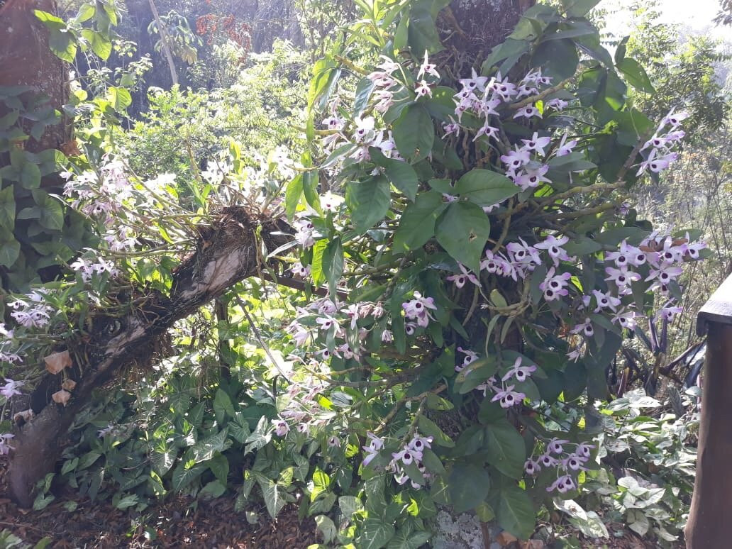 Pousada Alta Vista主图