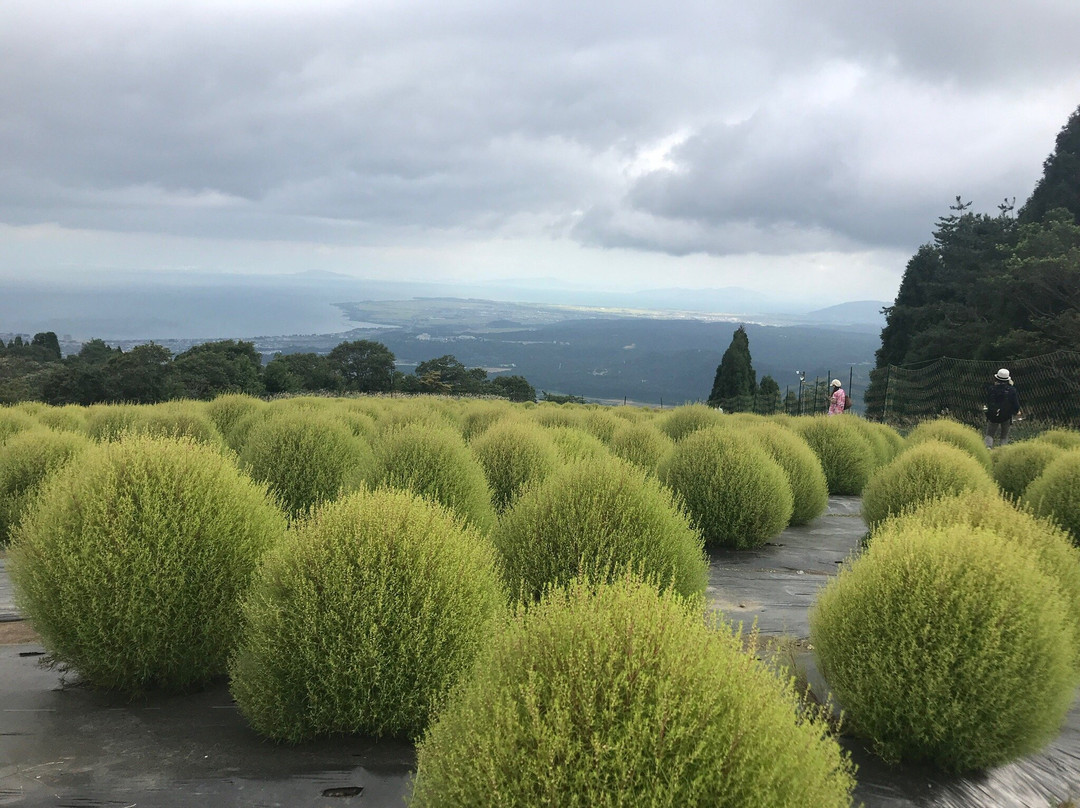 Mt. Hakodate-高岛市必去景点