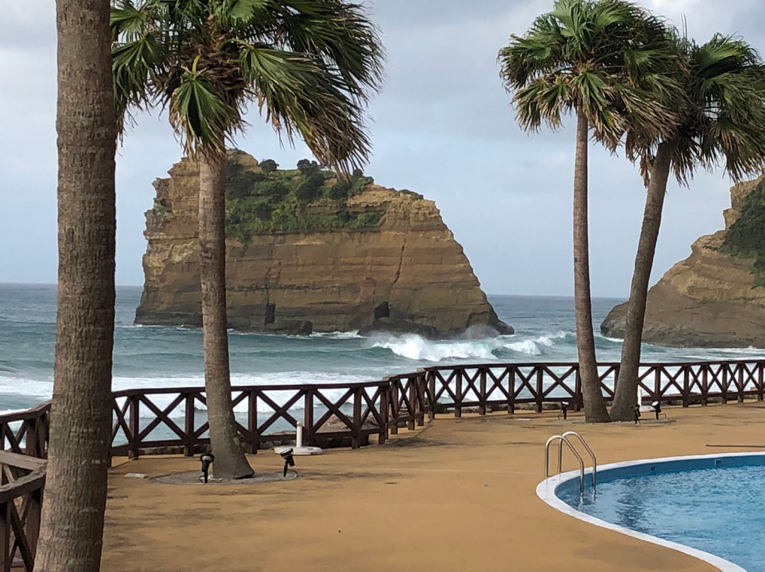 Tanegashima Iwasaki Hotel主图