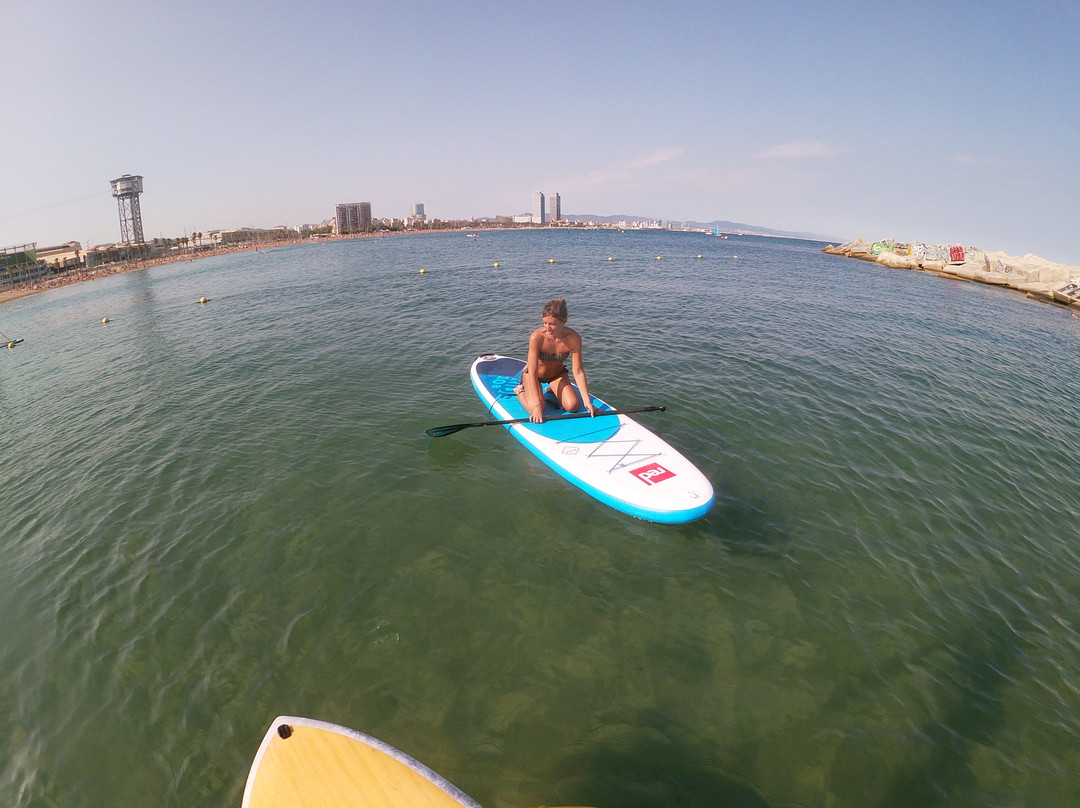 Stand Up Surf School