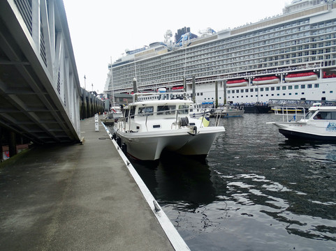 Ketchikan Salmon Fishing - Captain Jim Parrott-凯奇坎必去景点