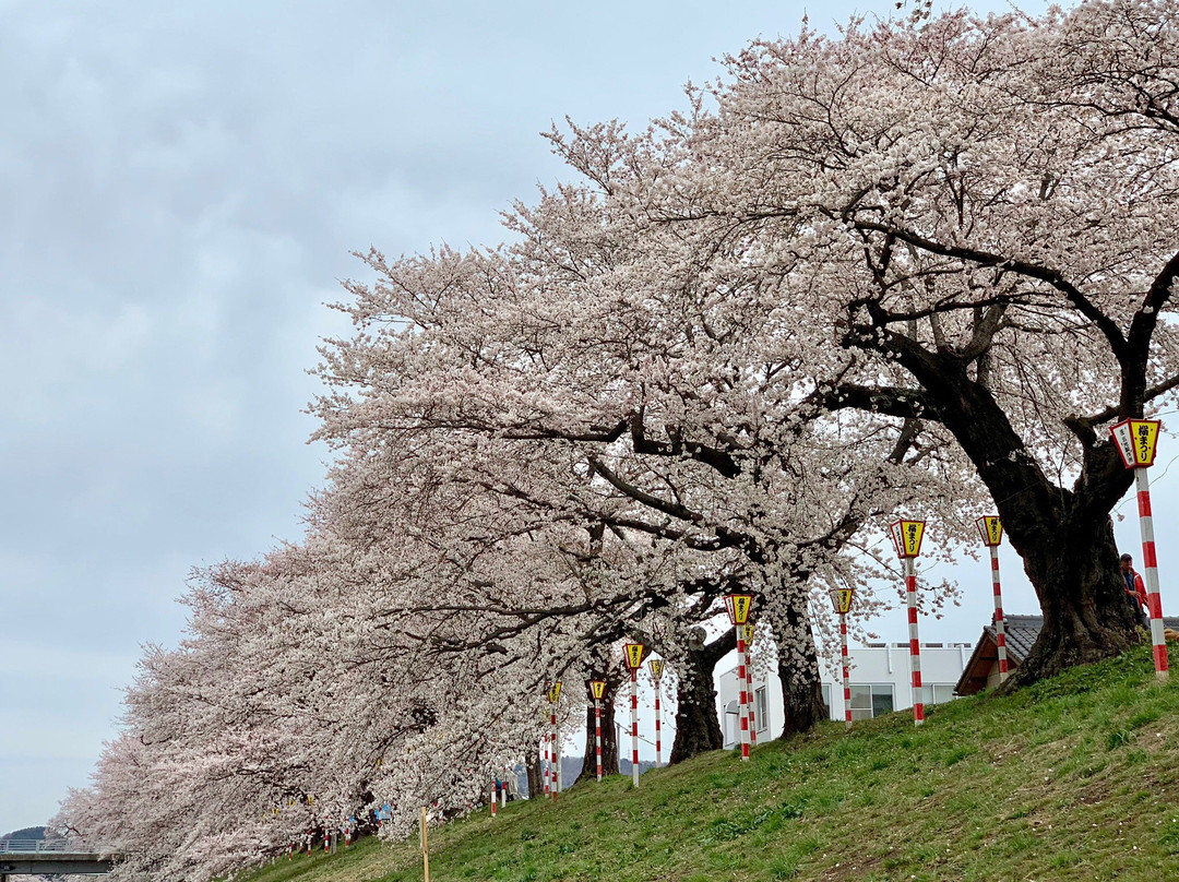 Ogawara Park-大河原町必去景点