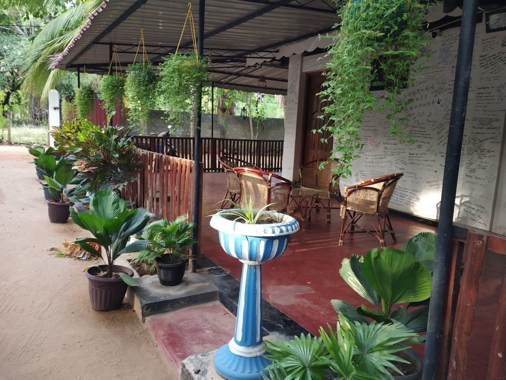 Orion Beach Way主图