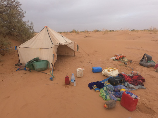 Camel Trek Morocco-迈哈米德必去景点