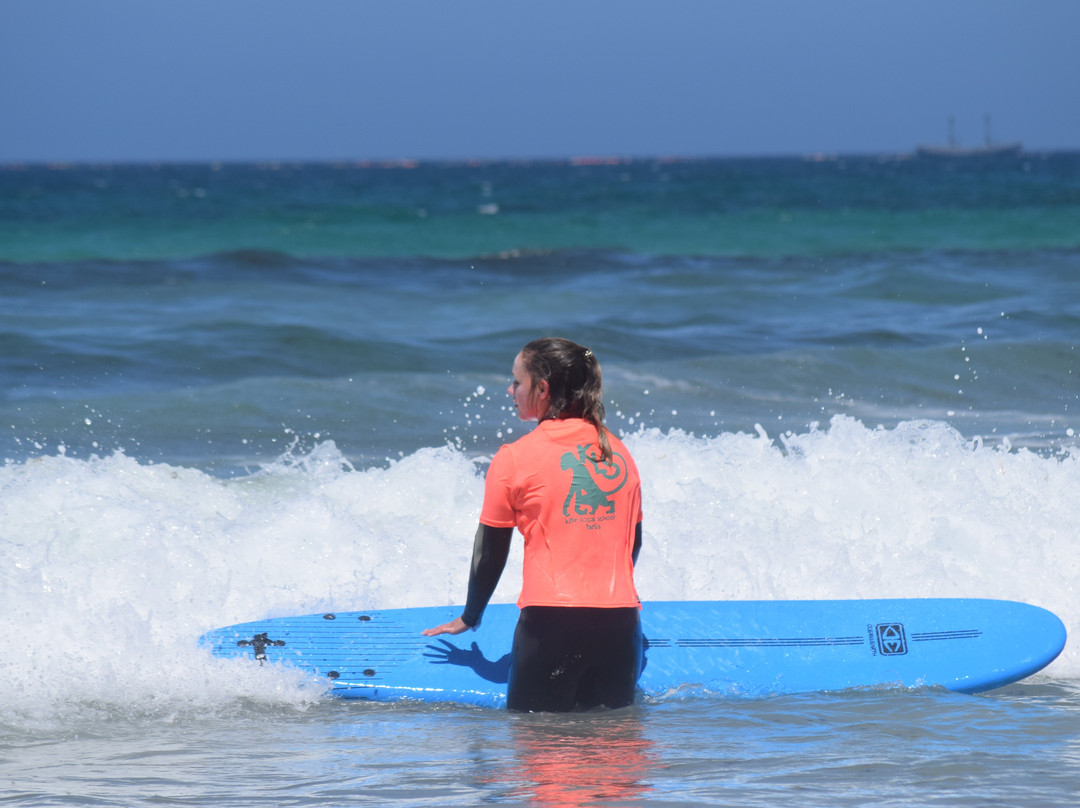 Kite Local School-塔里法必去景点