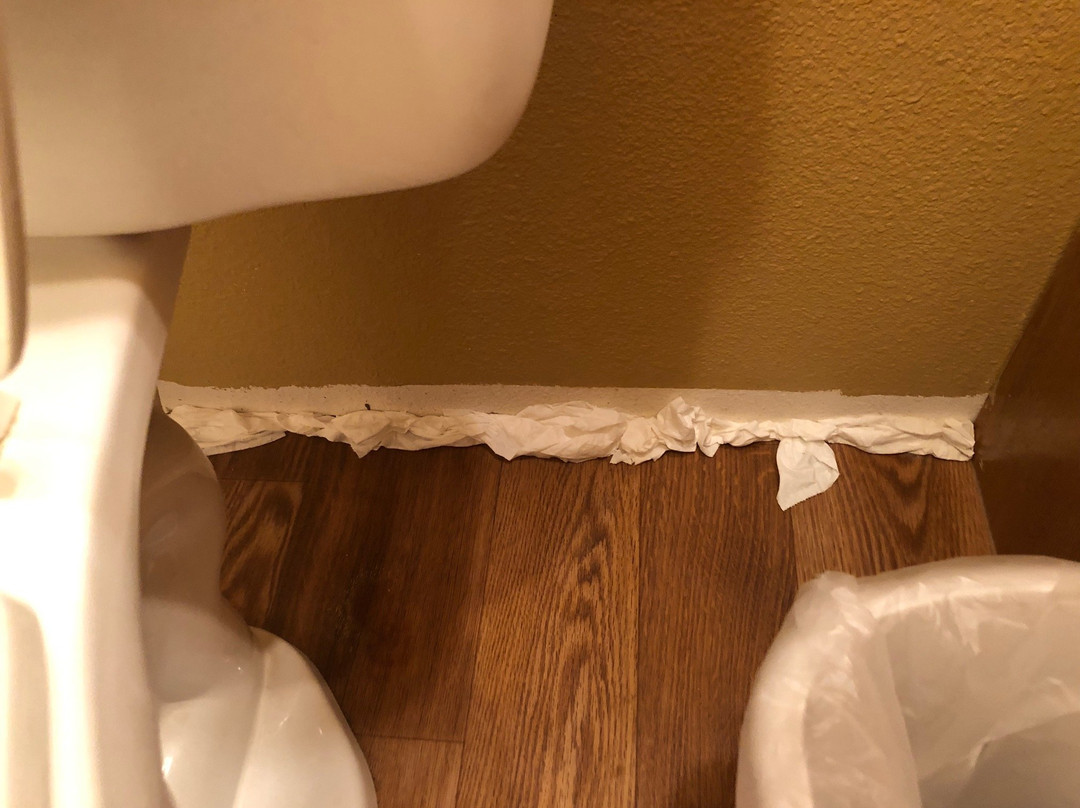 The Scandia Inn主图