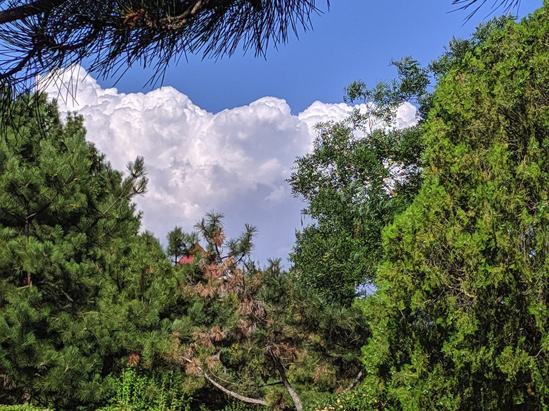 Park-Hotel Romanova主图