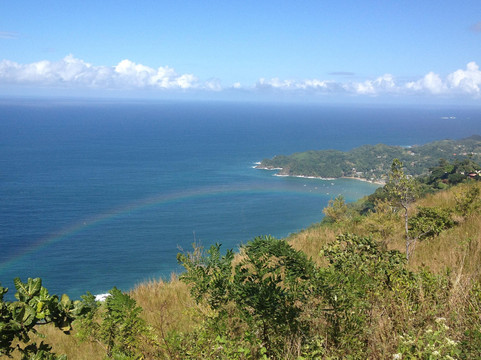 Yes Tourism Ltd-多巴哥必去景点