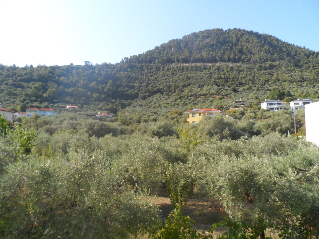 Dimitris Hotel主图