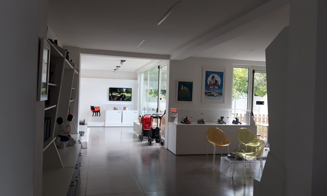 Foof - Parco e museo del cane-Mondragone必去景点